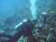 Scuba diving – Introductory course for 2 in Baia Mare