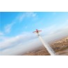 High-G Aerobatic flight with a champion in Bucharest