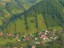 Heli tour to  Bran and Peles Castles from Brasov 4 seats