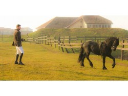 Initiation in horse riding in Alba Iulia