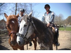 Horse riding lesson for 2 in Sibiu