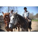 Horse riding lesson for 2 in Sibiu